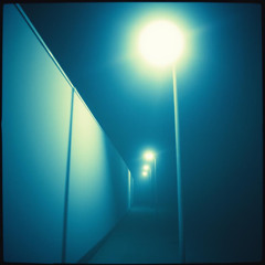 Echoes of You