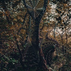 Clearlight - Emergence (Ft Owl) [Clearlight]