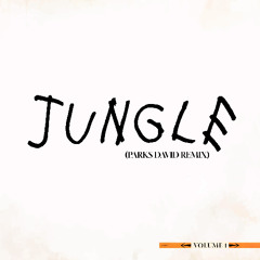 Jungle | Parks David Remix (afrohouse)