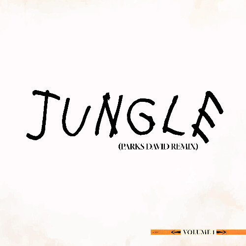 Jungle | Parks David Remix (afrohouse)