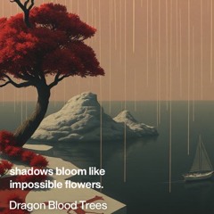 dragon-blood-trees.