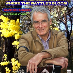 Where the Wattles are Blooming