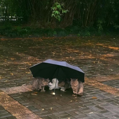 raining in manila