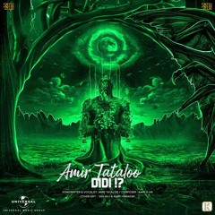 amir tataloo - Didi