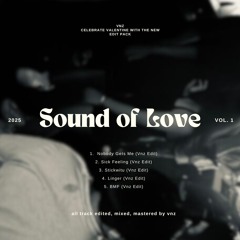 Nobody Gets Me (Vnz Edit) *pitched due to copyright