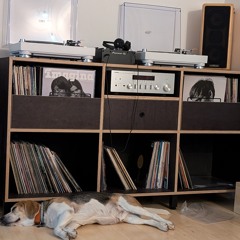 From jazz to house