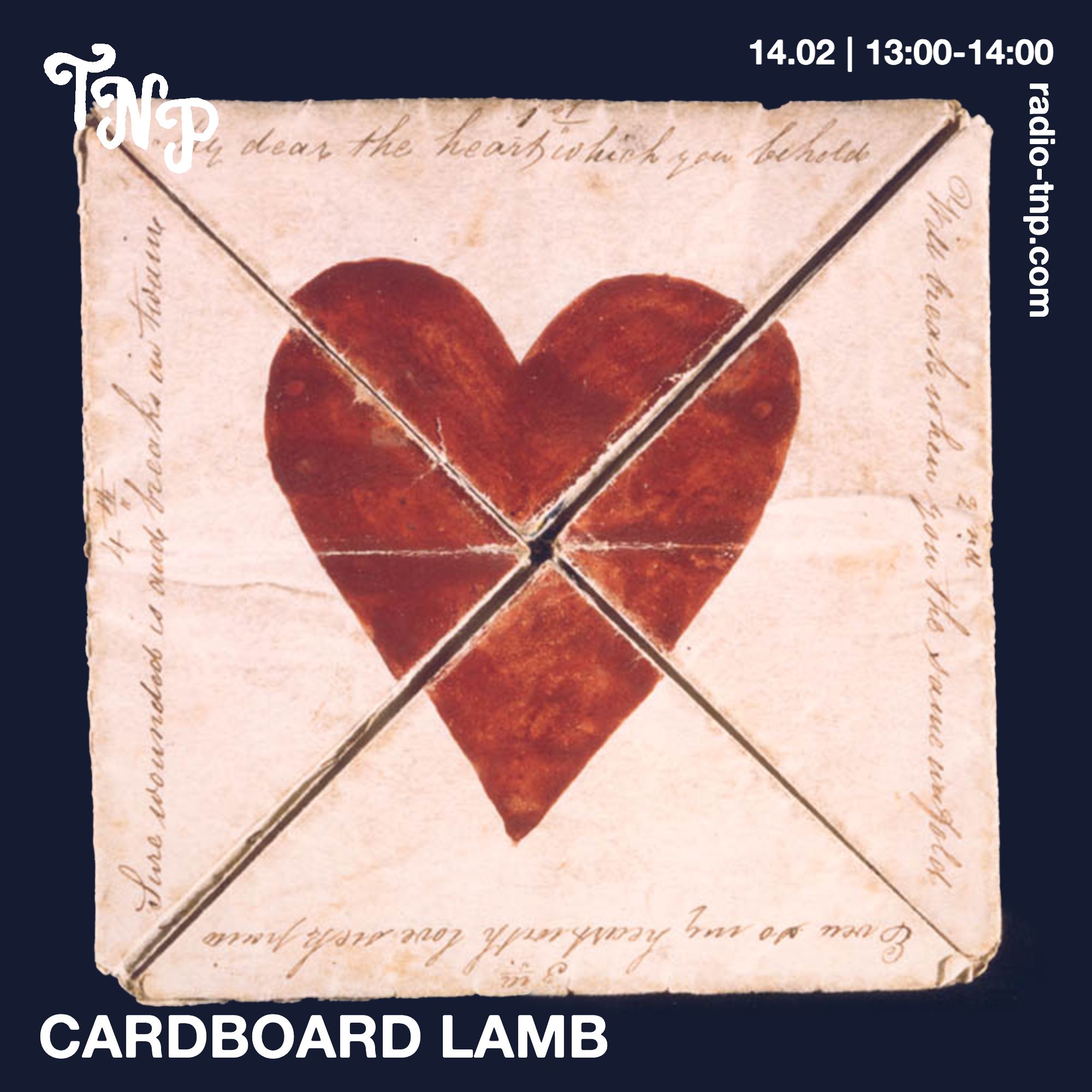 Cardboard Lamb