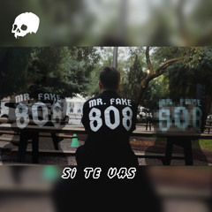 Mr. Fake - Si Te Vas (Original Mix)