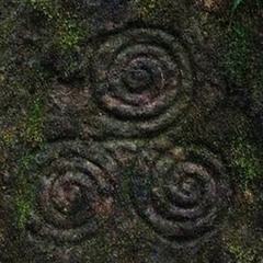 Beast of Bodmin Moor