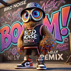 Nelly - Boom! (Bird Noise Remix)
