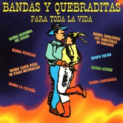 Quebradita Banda Inmortales Mix