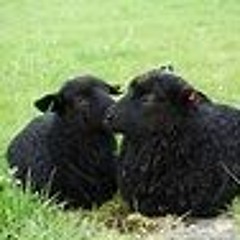 BAA
