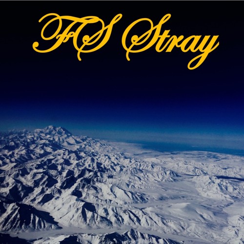 FS STRAY - I FCKD UP (PROD. FRAGILE)