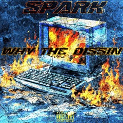 SparkAblk - Why the Dissin