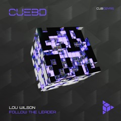 Lou Wilson - Follow The Leader (Original Mix)