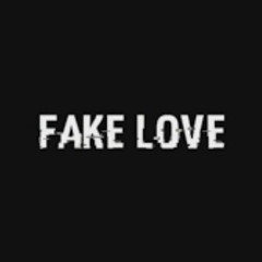 FAKE LOVE FT BRAZYRICO & LUDLEE