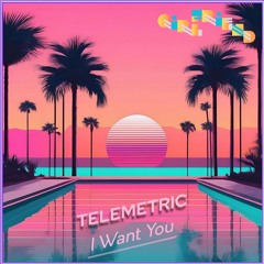 Telemetric - I Want You [Girlfriend Records]