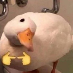 No Title - HITOMIN | Audio