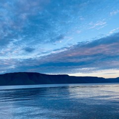 DOWN (FAHREZI DTM X ND)