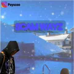 Payscoo - Scam Wayz👨🏿‍💻
