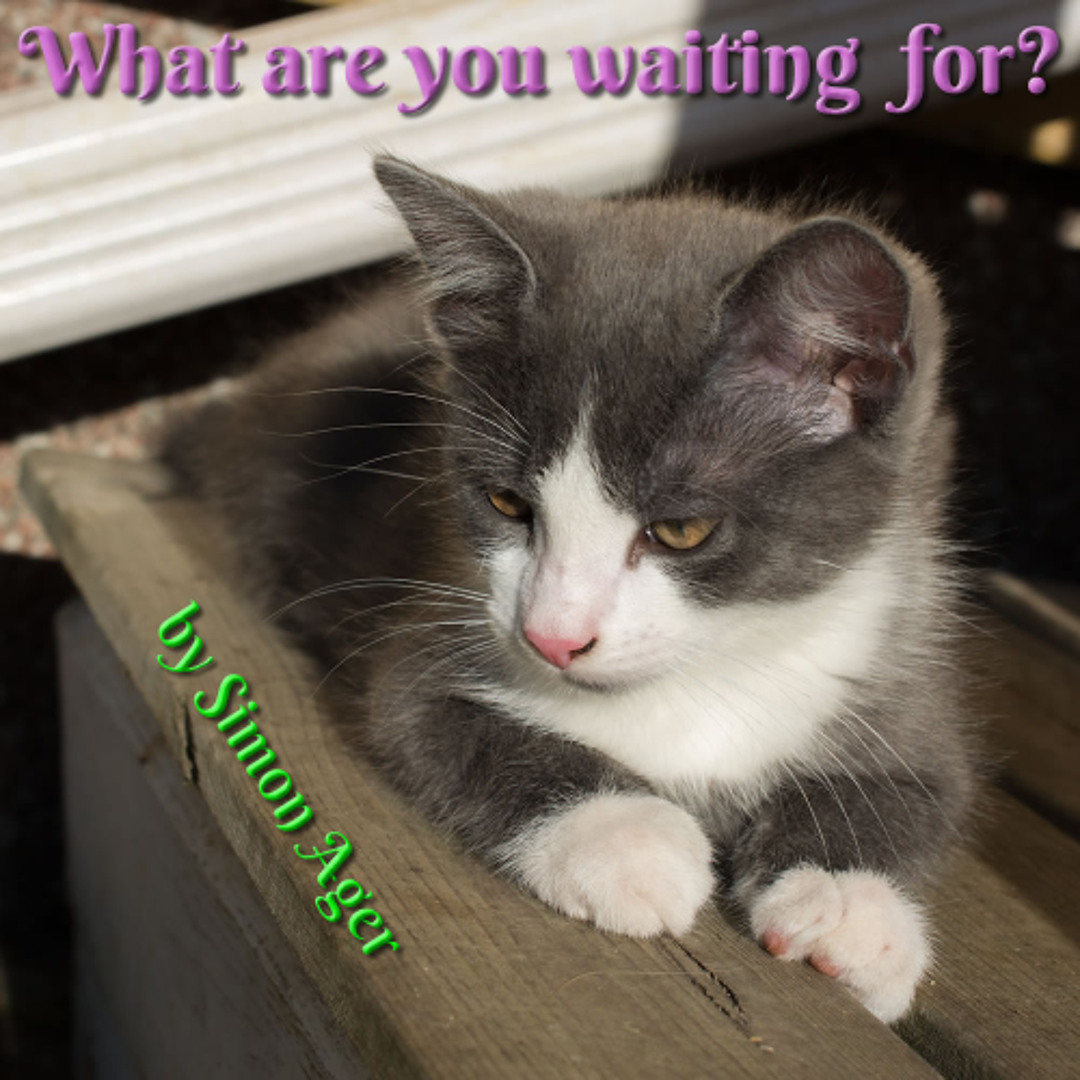 What Are You Waiting For?