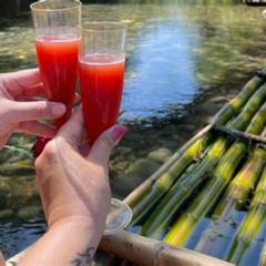 Review Special Price Bamboo River Rafting With Negril Ricks Cafe Visit