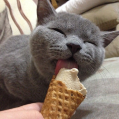 4 tha dip  (kubelis w/ bbuggin)