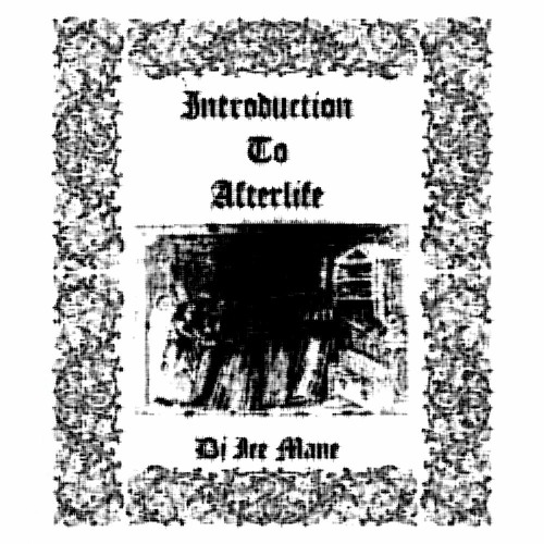 Introduction To Afterlife