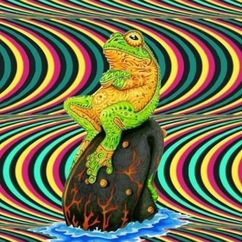 Anger Frog's Banger Bog