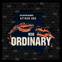 M3B - ORDINARY