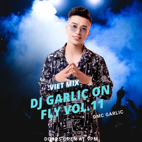 Viet mix Garlic On Mix vol 11 (The Best Song 2025)
