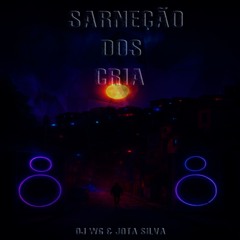SARNEAÇÃO DOS CRIA (DJ JOTA SILVA & DJ WG