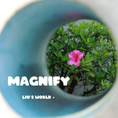 Magnify