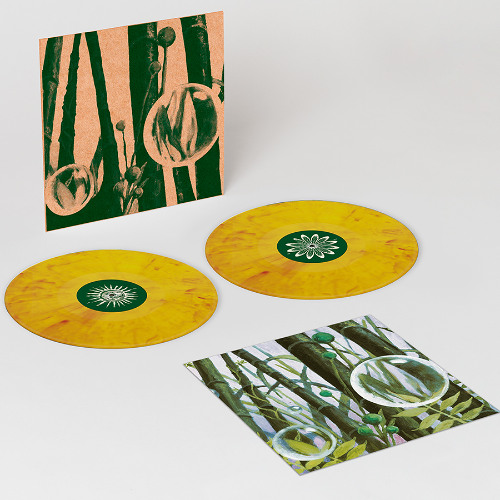 Kettel - Pinch of Peer - 2025 Remaster [LPS-PS18]
