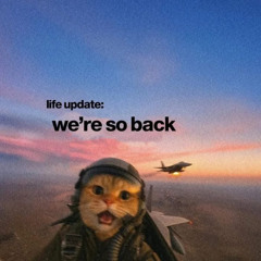 COM381_Song11_Soup_Devin Crespo LifeCat