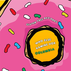 PREMIERE : Who Else & Kamine Vox - Ironia (Original Mix)  [Gluten Free Records]