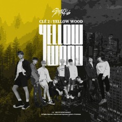 STRAY KIDS 'Side Effects' [ALMOST OFFICIAL INSTRUMENTAL]