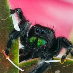 STORMYQUESTS- 𝔊𝕖𝔱 𝔩𝕠𝔰𝔱