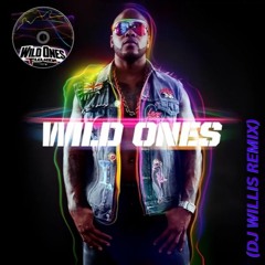 FLO RIDA - WILD ONES FT. SIA (DJ Willis Remix) - (Instrumental)