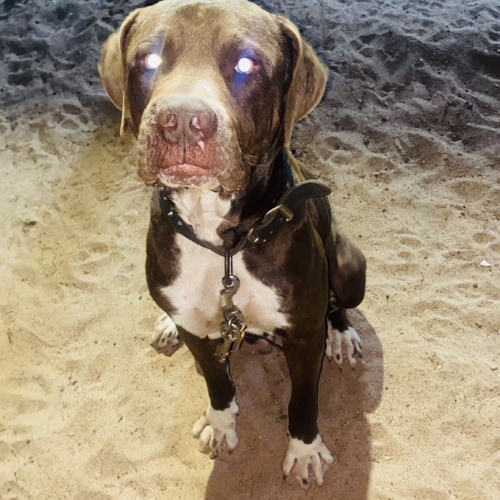 D̶R̶Y̶ Y̶O̶U̶R̶ T̶E̶A̶R̶S̶ -̶ R̶M̶X̶ 💥