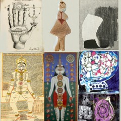 Different Shapes of Bodys