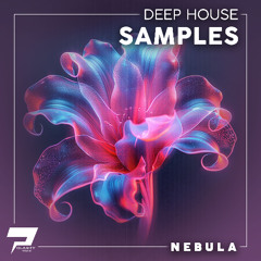 Polarity Studio -  Nebula - Deep House Samples