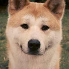 Hachiko Phonk Remix (Хатико Фонк Ремикс)