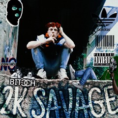 2K SAVAGE Space Coupe