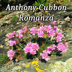 romanza 2025 mastvol282