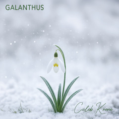 Caleb Krone - Rebirth