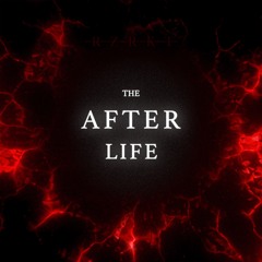 THE AFTER LIFE