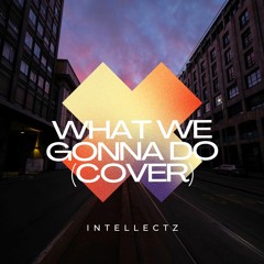 What We Gonna' Do (Intellectz Freeverse)