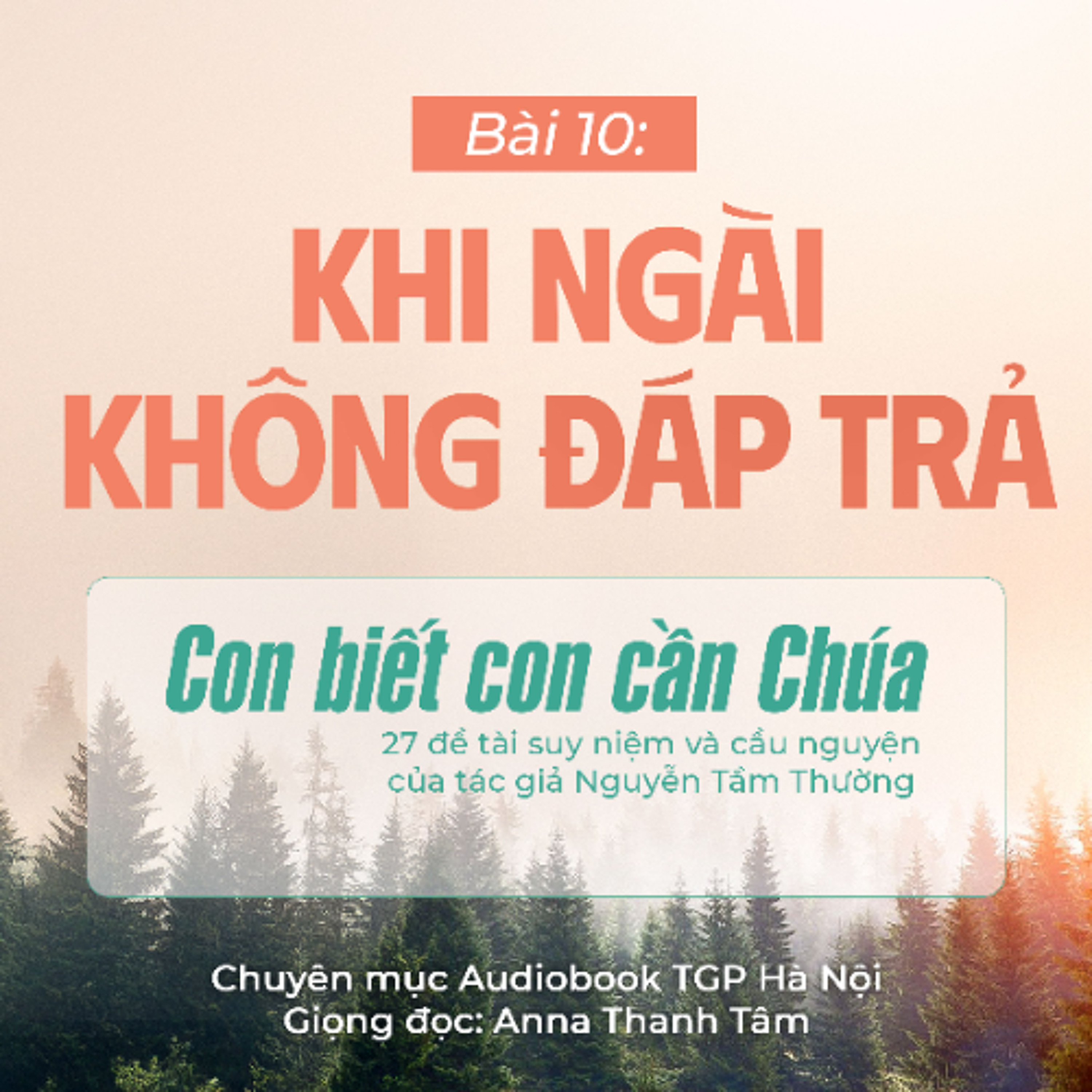 #10 Khi Ngài không đáp trả || Con biết con cần Chúa || Tác giả Nguyễn Tầm Thường