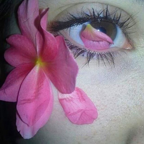 Mya